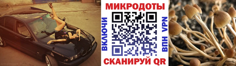 Псилоцибиновые грибы Psilocybe  MEGA ссылка  Славянск-на-Кубани  где найти наркотики 